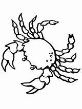 Krebs Crab Krustentier Ausmalbild Creatures Crustacean sketch template