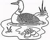Coloring Pages Lakes Lake sketch template