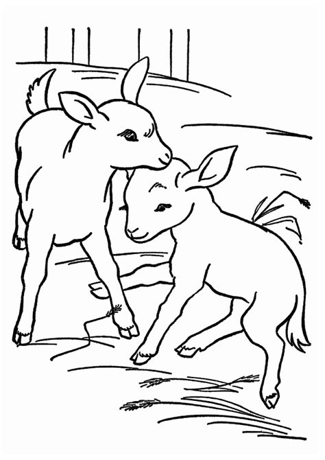 goat coloring pages books    printable