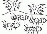 Coloring Ant Pages Ants Marching Kids Grasshopper Color Clipart Go Print Printable Popular Happy Getdrawings Getcolorings Library Anteater sketch template