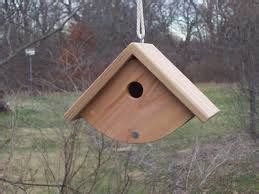 mourning dove birdhouse google search bird houses diy bird house plans  bird house