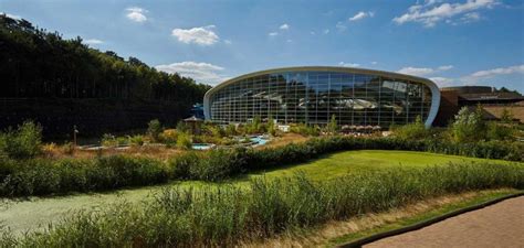 center parcs fined   health safety breaches qle group