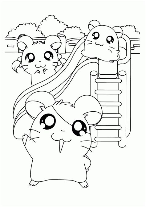 drawing hamster  animals printable coloring pages