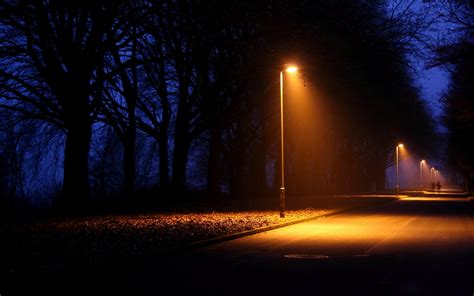 nature night lights lamps lamp post trees lightbeams roads