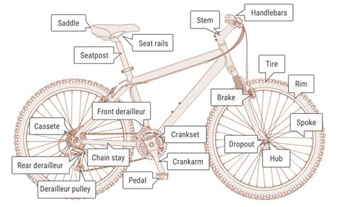 guide  bike parts  names  beginners bikelvr