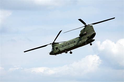 chinook helicopter stock  pictures royalty  images istock