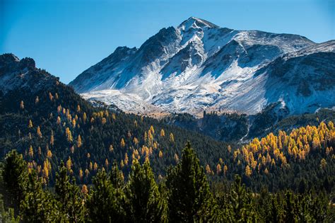 salouf graubuenden dsc foto bild landschaft berge schweiz