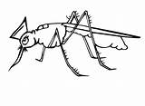 Mosquito sketch template