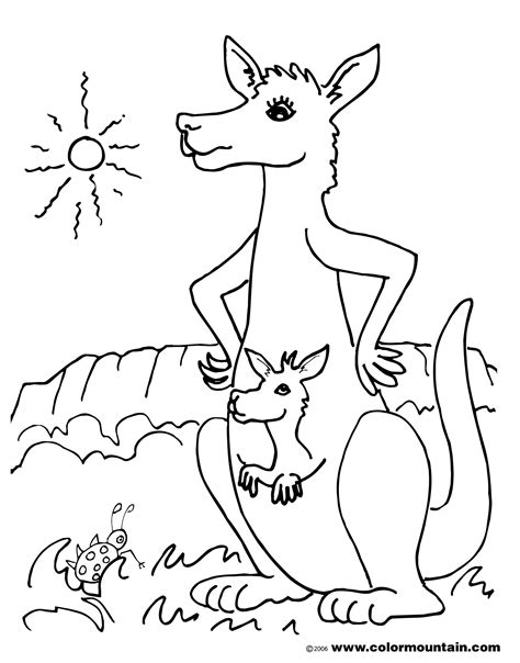 kangaroo coloring pages outline sketch coloring page