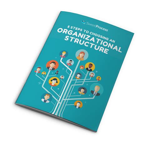 guide  choosing  organizational structure