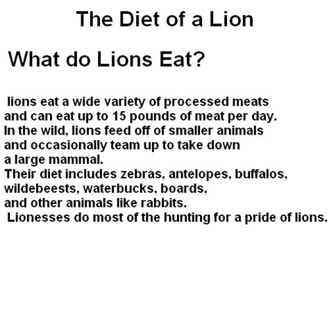 diet lion diet
