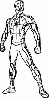 Spider Man Pages Spiderman Coloring Drawing Colouring Pose Halloween Color Printable Kids Sketch Print Superhero Sheets Easy Draw Cool Boys sketch template