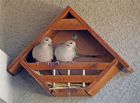 lovey dovey birdhouses  design produce beautifully functional dove houses
