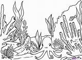 Seaweed Outline Coral Coloring Choose Board Reef sketch template