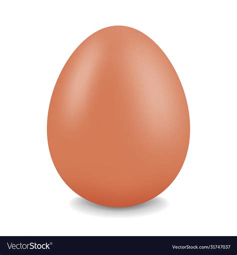 chicken egg royalty  vector image vectorstock