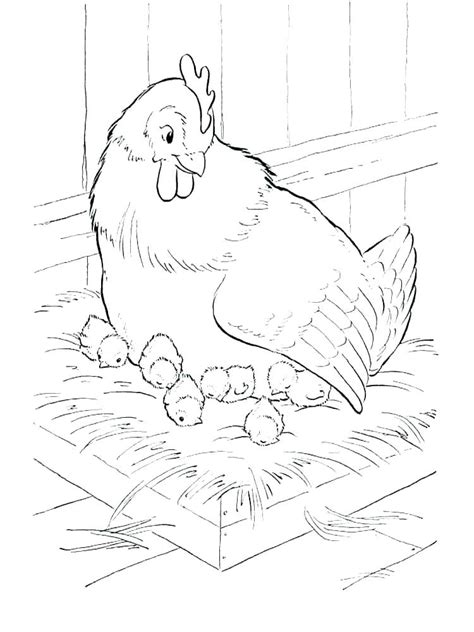 hoboken chicken coloring pages
