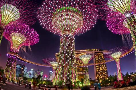 singapores christmas wonderland  gardens   bay news