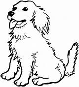 Coloring Dog Pages Animal Retriever Golden Drawings Sheet sketch template
