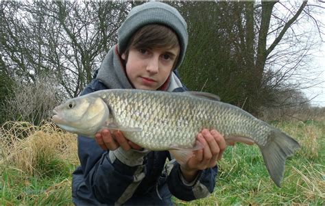 angling journals chub fishing  session success