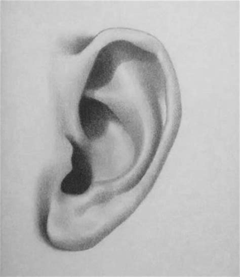 tutorial   draw ears httprapidfireartcomhow  draw  ear rapidfireart
