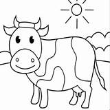 Kleurplaat Vaca Coloring Koe Cow Koeien Topkleurplaat sketch template