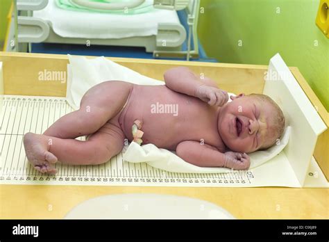newborn baby hospital  delivery high resolution stock photography
