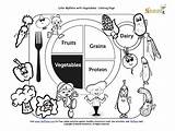 Myplate Nutrition Vegetable Foods Nutrients Dairy 출처 sketch template