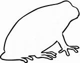 Contorno Rospo Sapo Colorare Toad Sapos sketch template