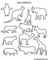 Worksheets Kids Printable Zoo Animals Animal Outline Coloring Kindergarten Printables Outlines Pages Preschool Pdf Posted Category sketch template