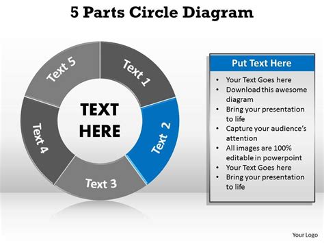 style circular loop  piece powerpoint template diagram