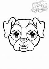 Collie Coloring Pages Border Getcolorings Color sketch template