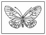 Butterfly Pages Coloring Color Kids Printable Butterflies Sheet sketch template