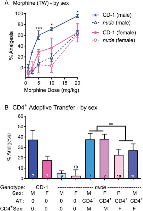 sex differences in morphine analgesia are due to cd4 1 t cells a