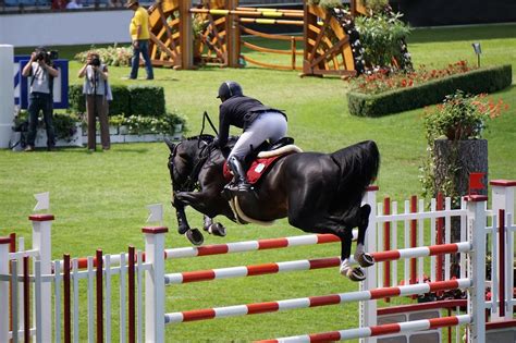 horse jumping royalty  stock photo  image