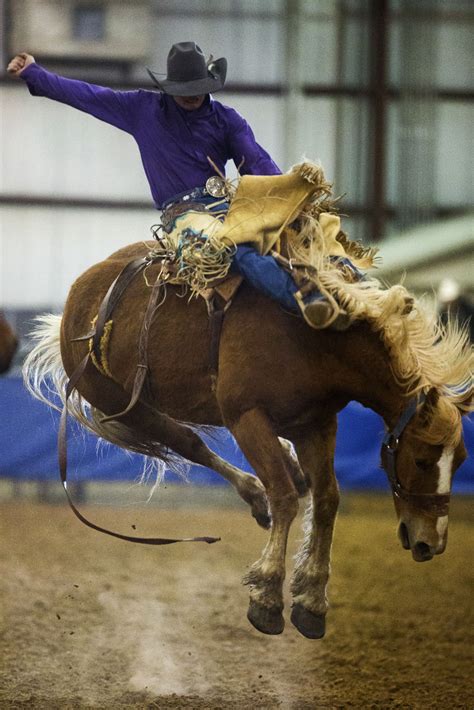 rodeo bronc riders    howard hunter sr sports rapidcityjournalcom