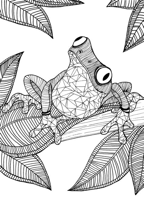 printable frog coloring pages  adults