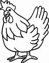 Chicken Coloring Pages Kids sketch template