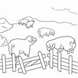 Sheep Pen Coloring Clipart Farm Pages Cliparts Clip Surfnetkids Animals Library sketch template