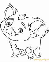 Moana Coloring Pages Pua Disney Pig Baby Color Cute Drawing Piggy Miss Printable Guinea Picturethemagic Kids Maui Disneyclips Print Realistic sketch template