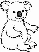 Coloring Koala Preschool Pages Coloringbay sketch template