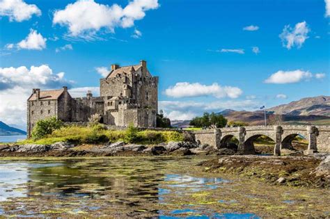 scottish ancestry  tracing  family heritage zicasso