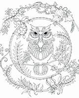 Owl Coloring Adults Pages Detailed Rocks Adult sketch template