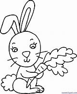 Rabbit Coloring Clipart Bunny Webstockreview Sweet Clip sketch template