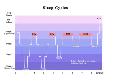 Sleep Is Critical In Processing And Storing New Experiences