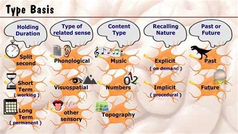 Types Of Human Memory Youtube