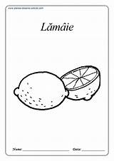 Colorat Fructe Planse Desene Lamaie Portocala Prune Alege Panou Copii sketch template