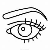 Colorir Latisse Occhio Olhos Eyelash Brow Olho Pinclipart Pngfind Ultracoloringpages sketch template