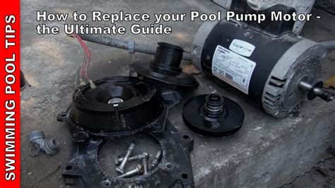 replace  pool pump motor  ultimate video guide youtube