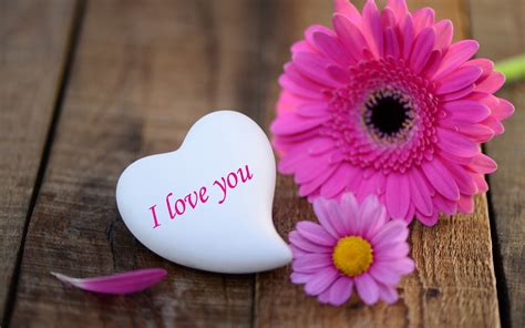 I Love You Wallpapers Pictures Images