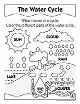 Cycle Water Coloring Kids Printable Worksheets Pages Activities Worksheet Visit Simple Spring sketch template